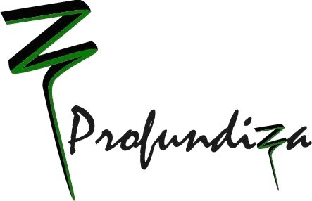 logo profundiza